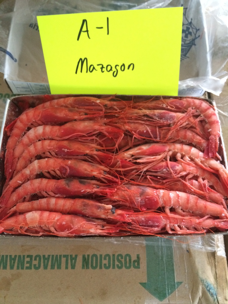 Alistado H. 1  TRES CARABELAS 45/50 PZ