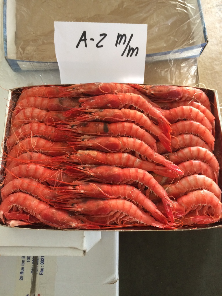 Alistado H.2 TRES CARABELAS 60/62 PZ