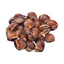 [C3350005] Almeja Marron 16-25 g/pz (40-60) 6x1kg