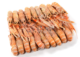 [C3332014] Cigala Escocia 70-100 g/pz (1) 1,250kg 4x1,5kg