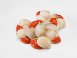 [130328] Vieira / Zamburiña Media Concha Pacifico 10-20 pza/kg 10x1kg